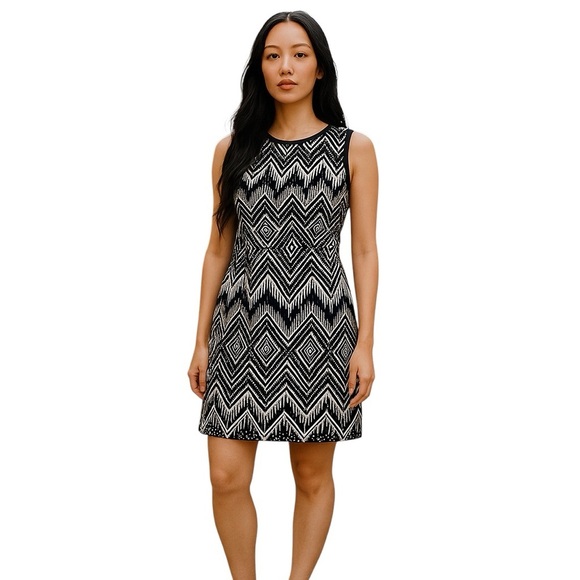 J. Crew Womens Size 4 Diamond Ikat Dress A1812 - Picture 1 of 5